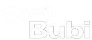 Logo Sport Bubi – Ausrüstungspartner des FC 1919 Bad DÜrrheim